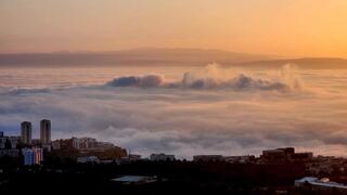 ערפל בחיפה 