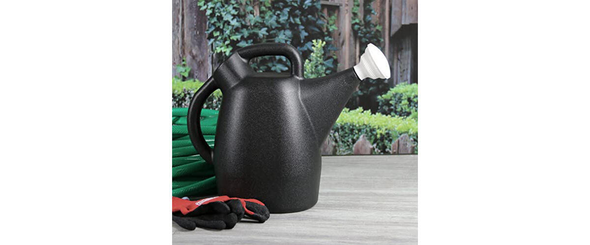 Chapin Watering Can