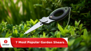7 Most Popular Garden Shears of 2024