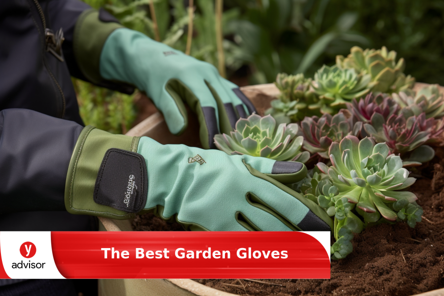 The Best Garden Gloves of 2024