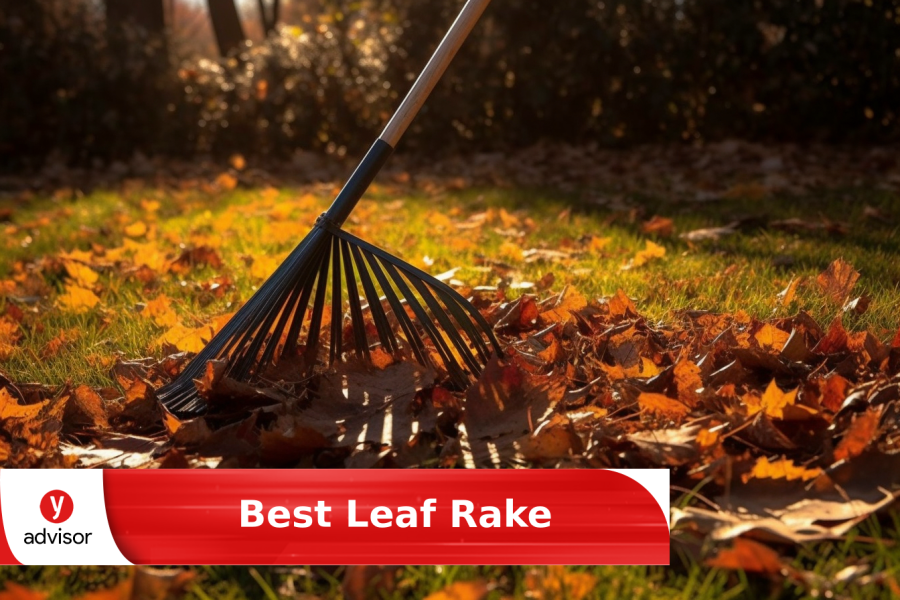 7 Top Selling Leaf Rakes of 2024