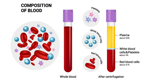Fresh blood in a uniform red color (right) and blood separated into layers (left) 