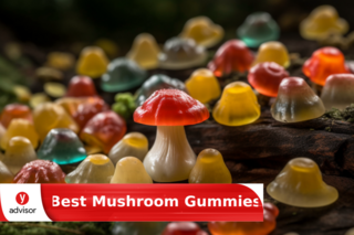 Best Mushroom Gummies of 2024