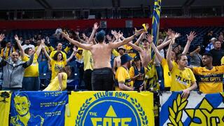 אוהדי מכבי ת"א