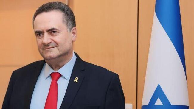 דיוויד קמרון, ישראל כ"ץ ואנאלנה ברבוק