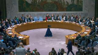 ההצבעה במועצת הביטחון של האו"ם על בקשת הפלסטינים להכרה