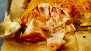 סלמון חרדל ודבש