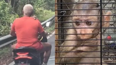 הישראלי על האופנוע עם הקוף, ואחד הקופים