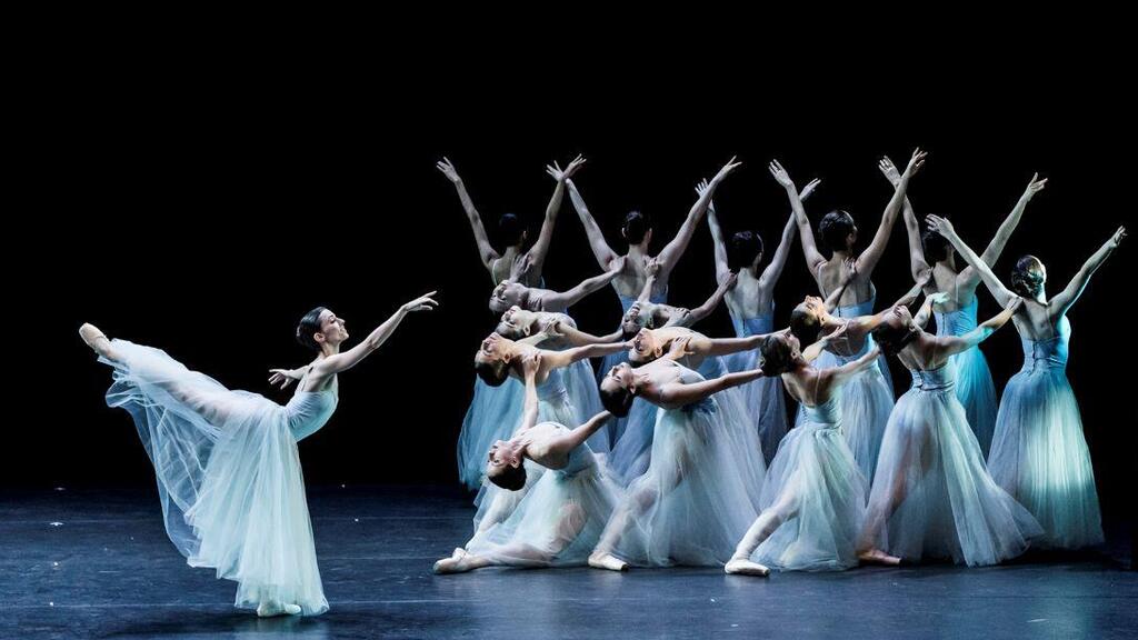 Сцена из балета "Серенада для лебедя" 