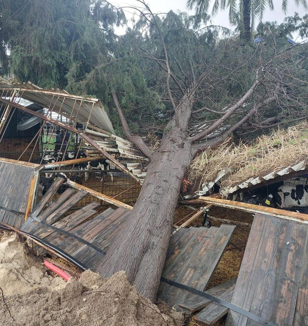 קיבוץ שער הגולן