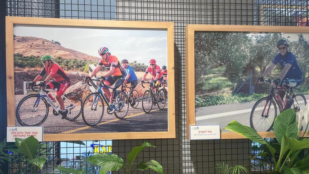 מתוך תערוכת "קטיעה לא קוטעת את החיים"