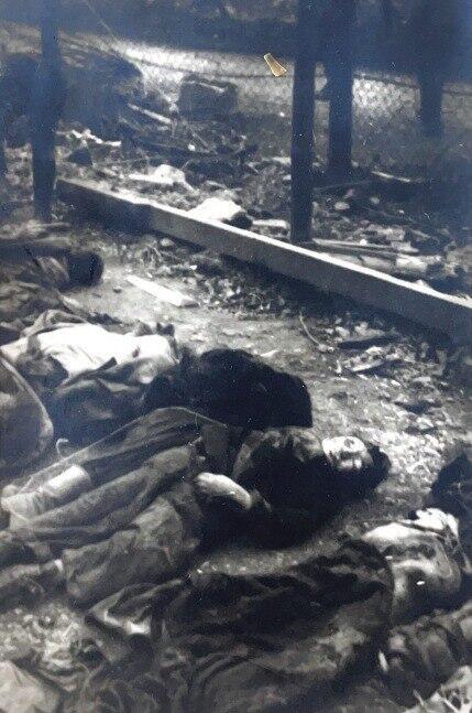 גופות של יהודים ממחנה בוכנוולד, אשר דודו של מייקל אורן, ג'ו, השתתף בשחרורו
