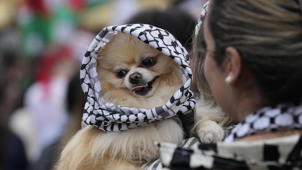 מחאות נגד ישראל במאלמו, שבדיה