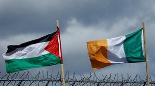 Palestinian, Irish flags 