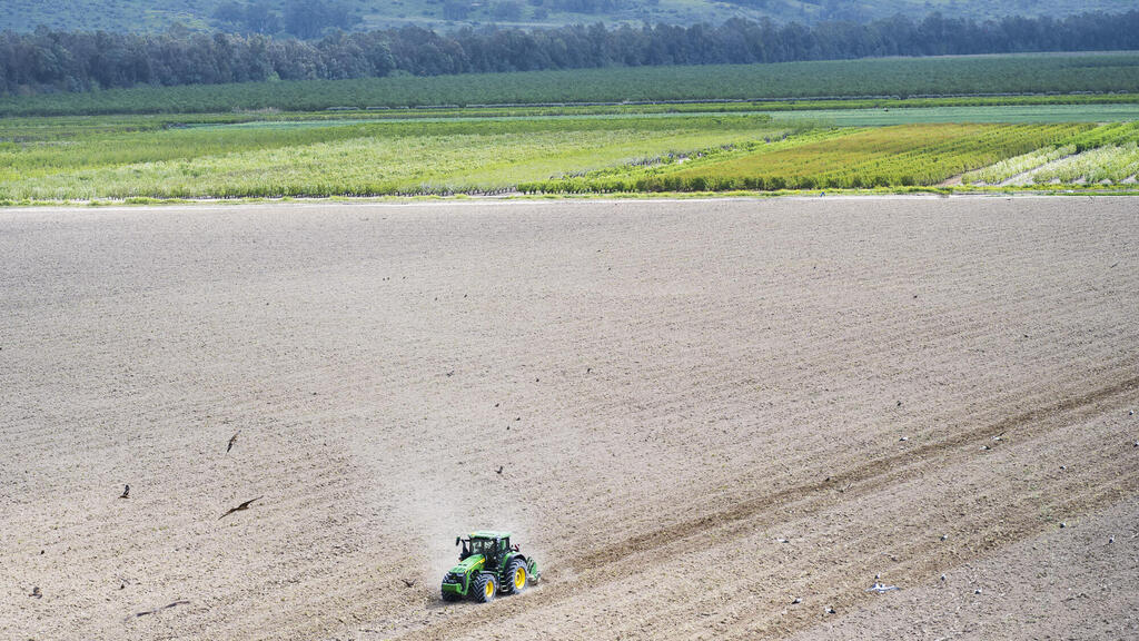 שדות הגליל העליון