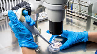 עובד מעבדה בוחן דגימה תחת מיקרוסקופ