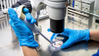עובד מעבדה בוחן דגימה תחת מיקרוסקופ