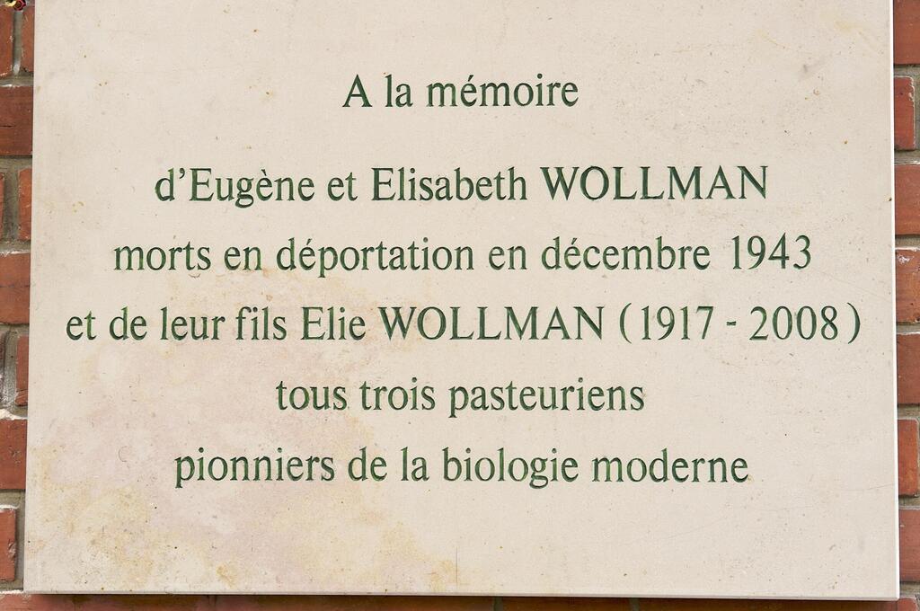 Three Pioneers of Modern Biology," a memorial plaque at the Pasteur Institute in Paris, commemorating Eugène and Élisabeth Wollman, and their son, Élie Wollman 