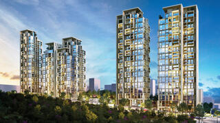 פרויקט "הצוף"