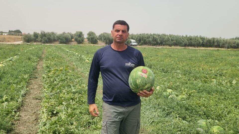 שארלי רביבי מגדל אבטיחים 