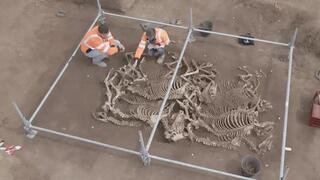 Horse burials from 2,000 years ago discovered in France 