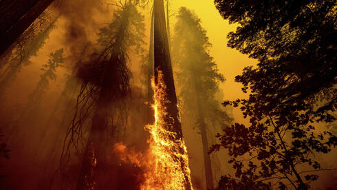 שריפת יער בארה"ב כתוצאה משינויי האקלים