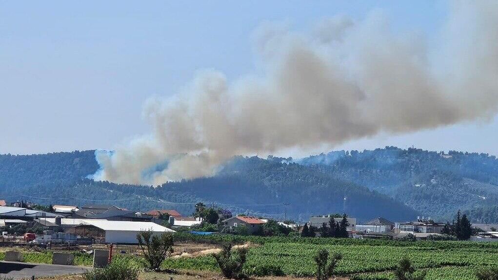 שריפות ביער בירייה