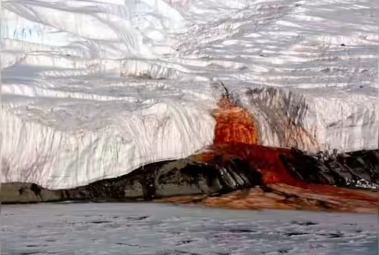 The bright red waterfall that flows from the glacier had surprised scientists for over a century 