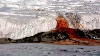 The bright red waterfall that flows from the glacier had surprised scientists for over a century 