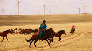 רועי סוסים במונגוליה הפנימית
