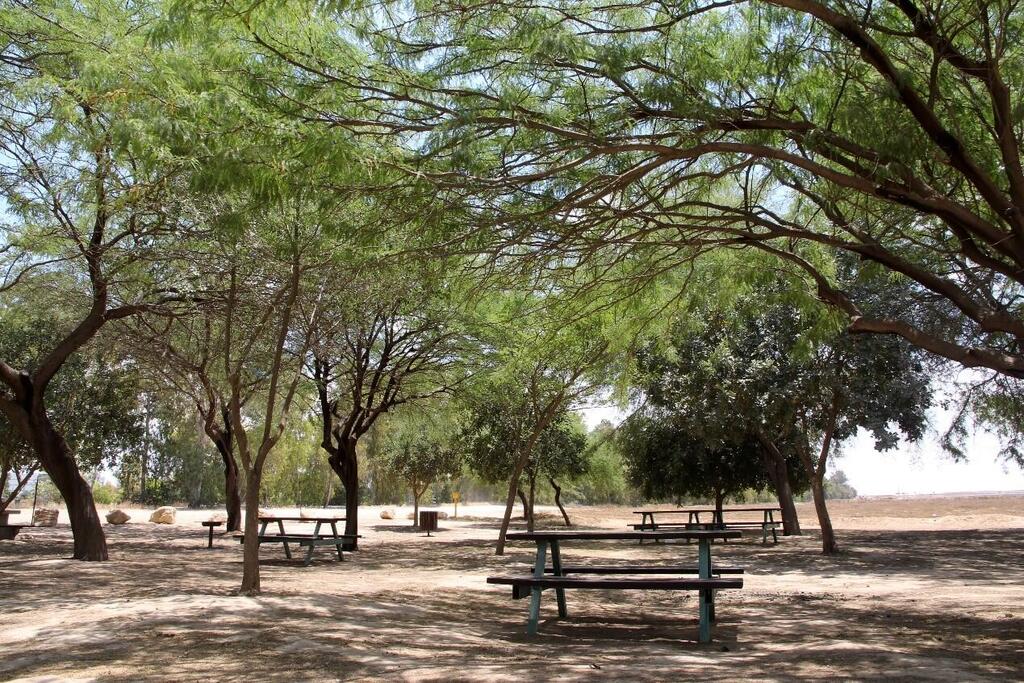 Nahal Gerer Chain Park