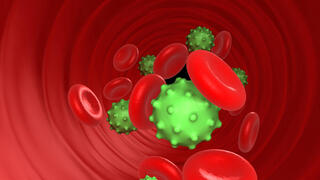 מערכת החיסון וירוסים