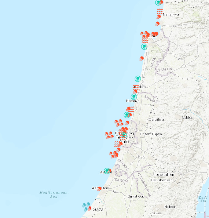  Interactive map 
