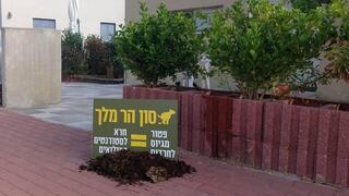   מחוץ לבית של סון הר מלך