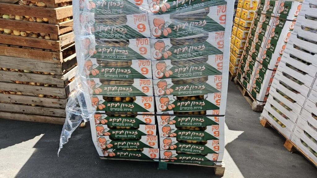 הסחורה הישראלית שעוברת במעבר כרם שלום בעזה