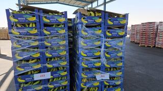 הסחורה הישראלית שעוברת במעבר כרם שלום בעזה