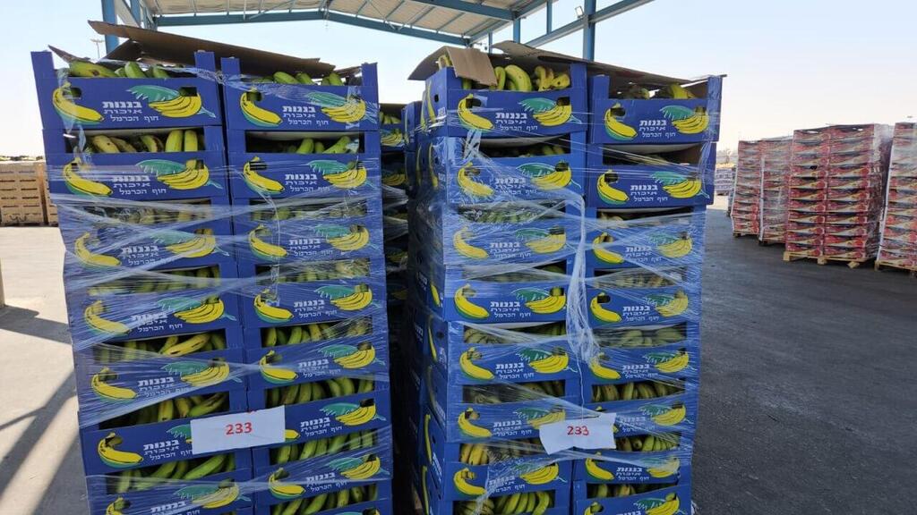 Бананы в Газе (Фото: Йоав Зейтун) הסחורה הישראלית שעוברת במעבר כרם שלום בעזה