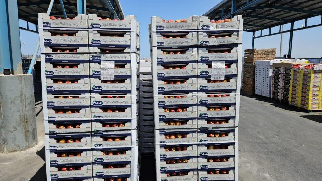 Фрукты для палестинцев в Газе (Фото: Йоав Зейтун) הסחורה הישראלית שעוברת במעבר כרם שלום בעזה