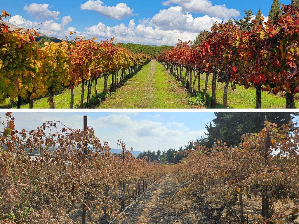 What was once beautiful...    