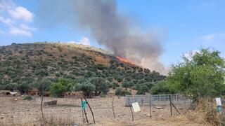 שריפות  שמורת טבע גן לאומי ארבל