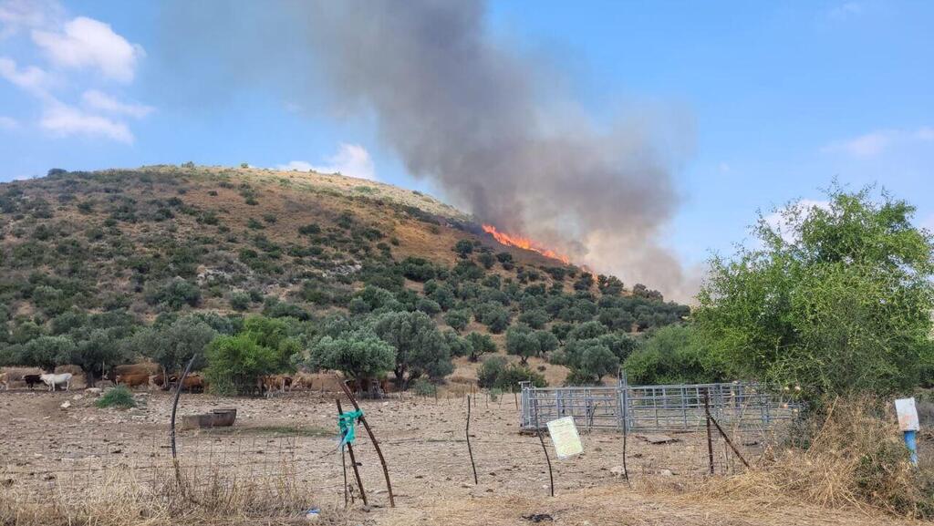 שריפות  שמורת טבע גן לאומי ארבל