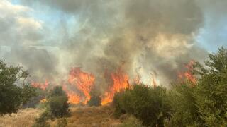 זירת הפגיעה מכפר הזיתים