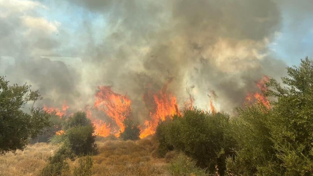 זירת הפגיעה מכפר הזיתים