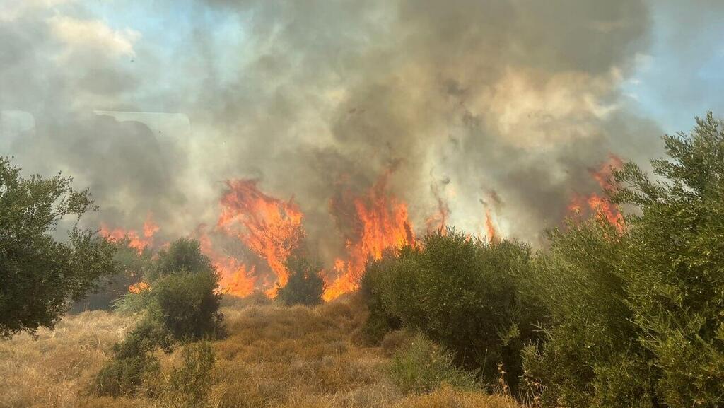 זירת הפגיעה מכפר הזיתים
