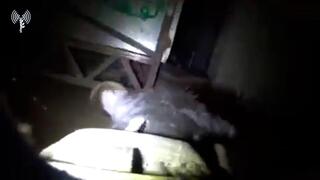תיעודים ב-9 חודשים לתמרון הקרקעי: סרטון שאותר במחשב בביתו של מחבל ארגון טרור חמאס בשג'אעיה וכלב עוקץ מאתר אמל"ח במנהרה