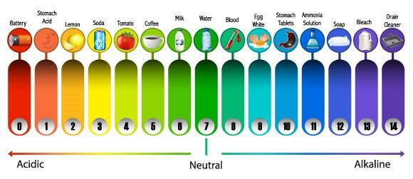 Alkaline soaps with a pH of 10 and above affect the spatial structure of skin proteins. Different substances on the pH scale 