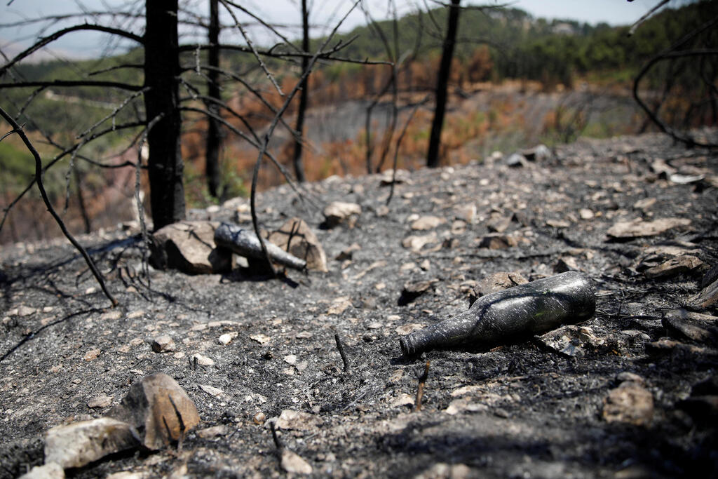 A bottle lies near charred trees in the aftermath of forest fires caused by Hezbollah attacks from Lebanon