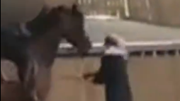 הרוכבת שארלוט דוז'רדן מכה את הסוס שלה