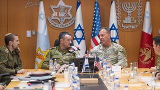 מייקל קורילה והרצי הלוי