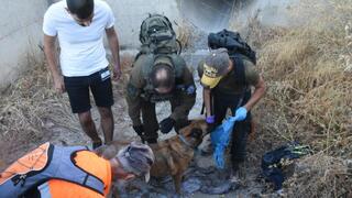 חיפושים אחר הילדה הנעדרת היימנוט קסאו